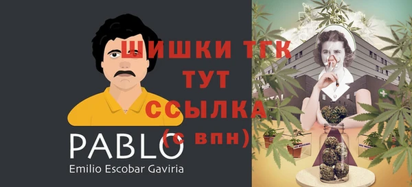 Альфа ПВП Богородицк
