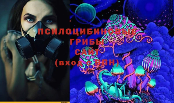 Альфа ПВП Богородицк