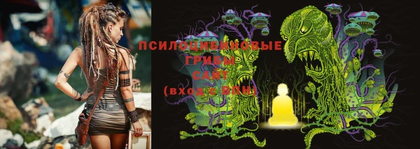 Альфа ПВП Богородицк